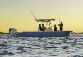 Honda BF225 – Drive by Wire