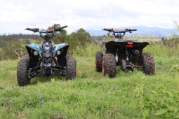 
										AusTuff Kids All Terrain Quad Bike S22 full									